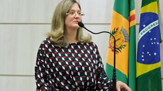 Comissão é formada visando trabalho pelo Reconhecimento do FLIC como Patrimônio Imaterial do Brasil